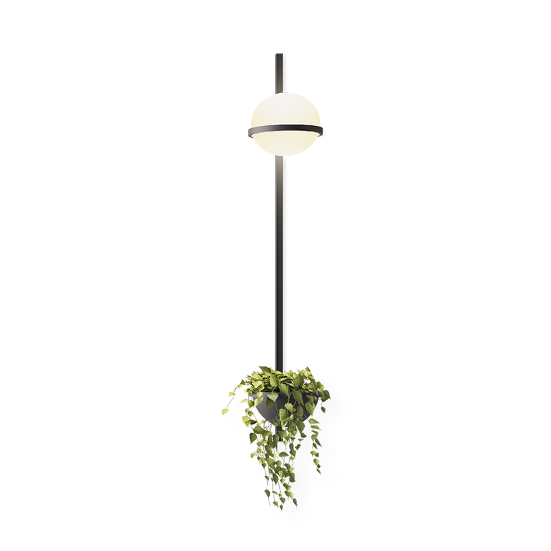 Palma Wall Lamp - MyConcept Hong Kong
