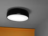 Flos Smithfield Ceiling Pro Lamp - MyConcept Hong Kong