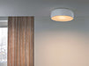 Flos Smithfield Ceiling Lamp - MyConcept Hong Kong