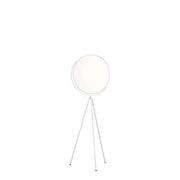 Flos Superloon Floor Lamp - MyConcept Hong Kong