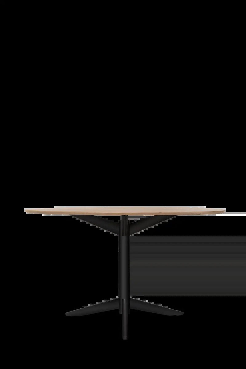 Pastoe TE06 Dining Table