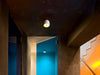 Flos Wan Ceiling/Wall - MyConcept Hong Kong