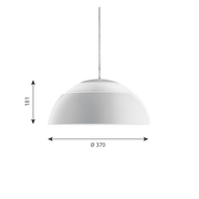 AJ ROYAL - MyConcept Hong Kong