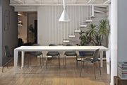 Cruz - MyConcept Hong Kong
