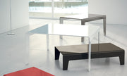Frog Coffe Table - MyConcept Hong Kong