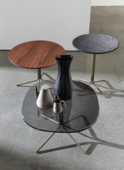 Genius Shaped - MyConcept Hong Kong