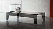 Frog Coffe Table - MyConcept Hong Kong