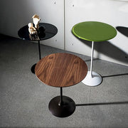 Tulip - MyConcept Hong Kong