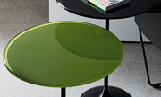 Tulip - MyConcept Hong Kong