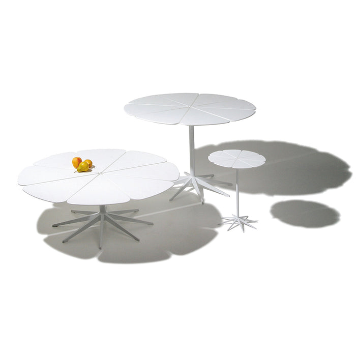 Petal Dining Table - MyConcept Hong Kong