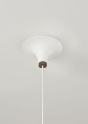 Acorn - MyConcept Hong Kong