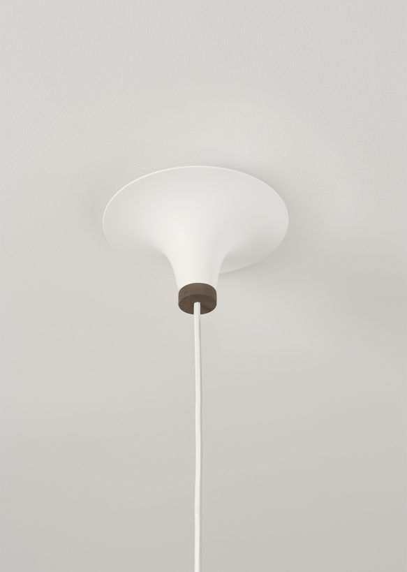 Acorn - MyConcept Hong Kong