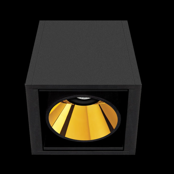 BLACK FOSTER Surface 1 - MyConcept Hong Kong