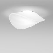 BALANCE Wall/Ceiling Lamp - MyConcept Hong Kong