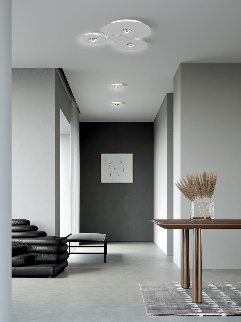 Bugia Single - MyConcept Hong Kong