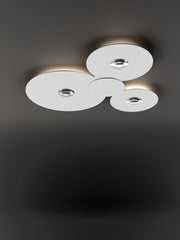 Bugia Mega - MyConcept Hong Kong