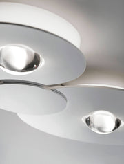 Bugia Double - MyConcept Hong Kong