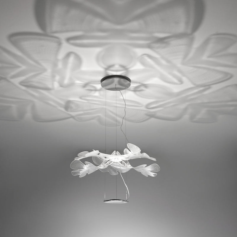 CHLOROPHILIA - MyConcept Hong Kong