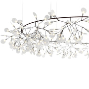 HERACLEUM III The Big O - MyConcept Hong Kong