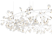 HERACLEUM III The Big O - MyConcept Hong Kong