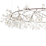 HERACLEUM III The Big O - MyConcept Hong Kong