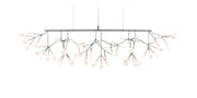 HERACLEUM III Linear - MyConcept Hong Kong
