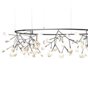 HERACLEUM III The Big O - MyConcept Hong Kong