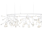 HERACLEUM III The Big O - MyConcept Hong Kong