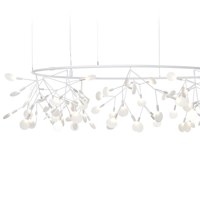 HERACLEUM III The Big O - MyConcept Hong Kong