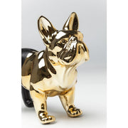 Money Box Bulldog Gold-Black - MyConcept Hong Kong