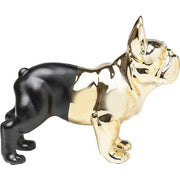 Money Box Bulldog Gold-Black - MyConcept Hong Kong