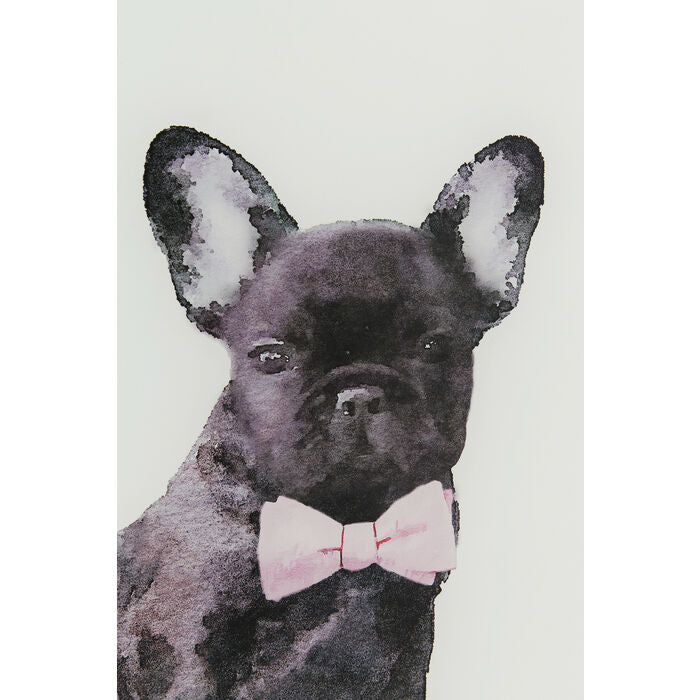 Picture Glass Fashion Dog 60x80cm - MyConcept Hong Kong