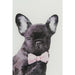 Picture Glass Fashion Dog 60x80cm - MyConcept Hong Kong