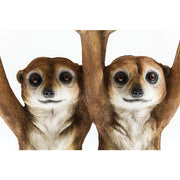 Side Table Animal Meerkat Sisters Ø33cm - MyConcept Hong Kong