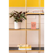 Shelf Camps Bay - MyConcept Hong Kong