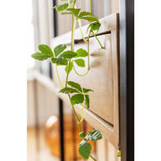 Shelf Modena - MyConcept Hong Kong