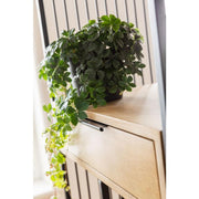 Shelf Modena - MyConcept Hong Kong