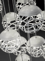 Kelly Cluster - MyConcept Hong Kong