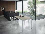 Galaxy Chair with Pads - MyConcept Hong Kong
