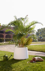 Tubby Tubby 1 - MyConcept Hong Kong