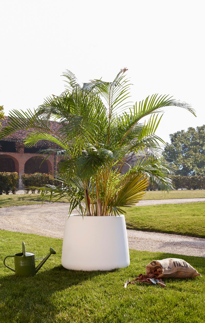 Tubby Tubby 4 - MyConcept Hong Kong