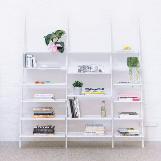 Tyke - The Wild Bunch Composition A - MyConcept Hong Kong