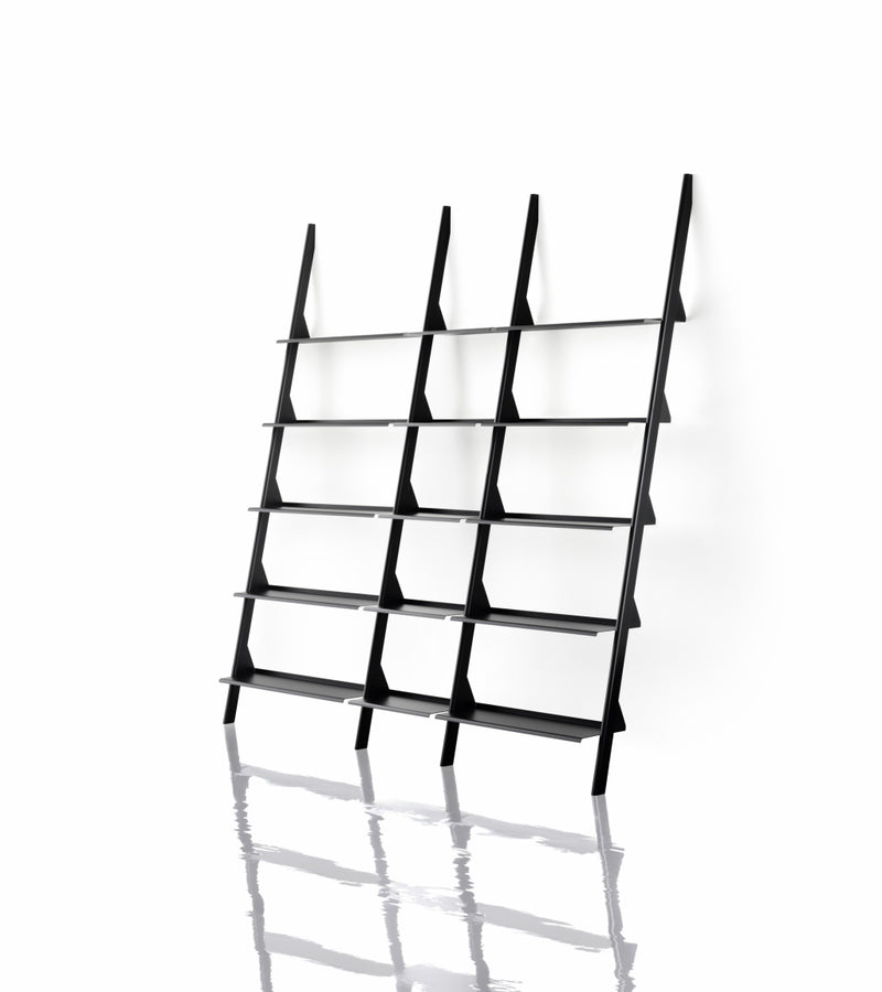 Tyke - The Wild Bunch Composition A - MyConcept Hong Kong