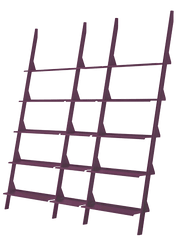Tyke - The Wild Bunch Composition A - MyConcept Hong Kong