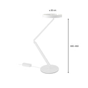 Mito Gioia Equilibrio - MyConcept Hong Kong