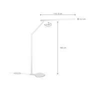 Mito Terra 3D - MyConcept Hong Kong
