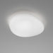 NEOCHIC Ceiling/Wall Lamp - MyConcept Hong Kong