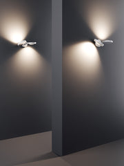 Nautilus Mini Wall - MyConcept Hong Kong