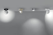 Nautilus Ceiling - MyConcept Hong Kong