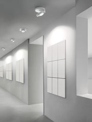 Nautilus Ceiling - MyConcept Hong Kong